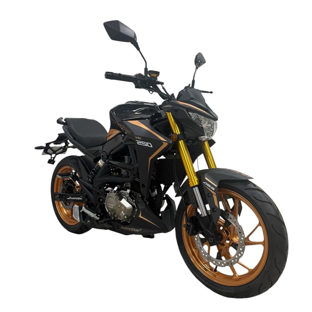 MOTOCICLETA HRC 250 LONCIN - Image 4