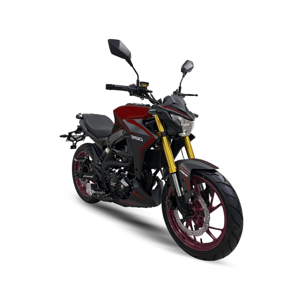 MOTOCICLETA HRC 250 LONCIN - Image 5