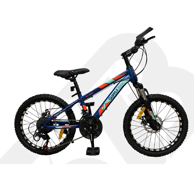 Bicicleta MTB RIN 20