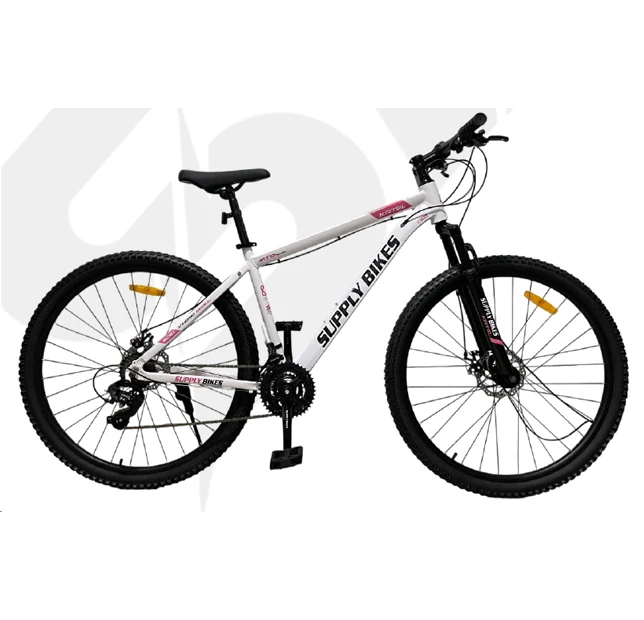 Bicicleta MTB RIN 29
